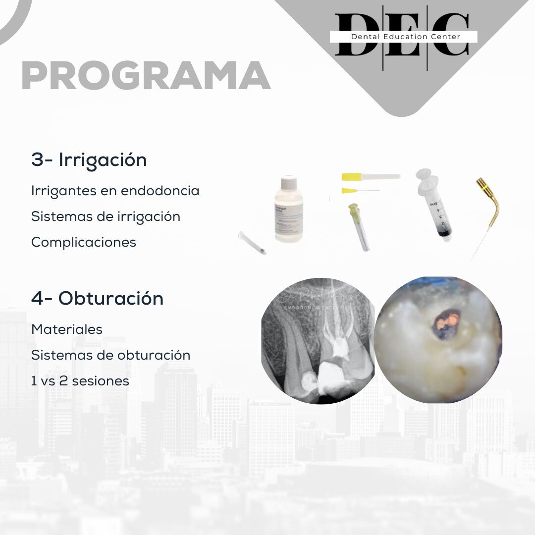 Curso Actualización en Endodoncia Clínica en Murcia - 6 de febrero 2026 - Imagen 6